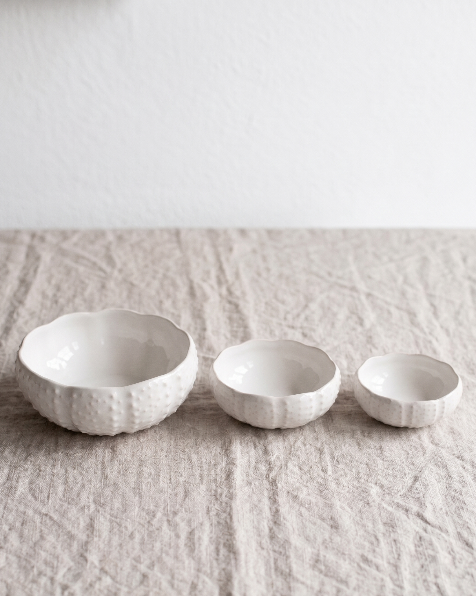 Set 3 Schalen Seeigel Sea Creatures