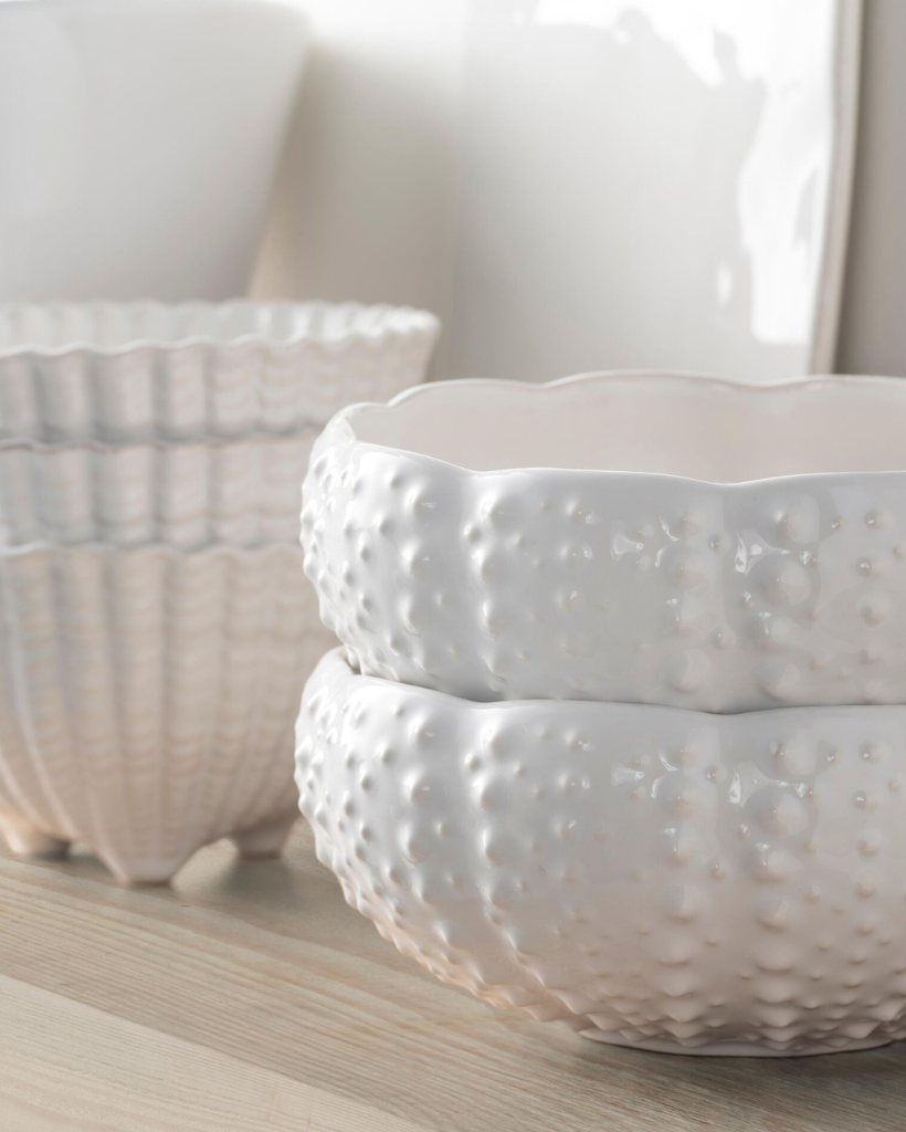 Bowl concha almeja Sea Creatures