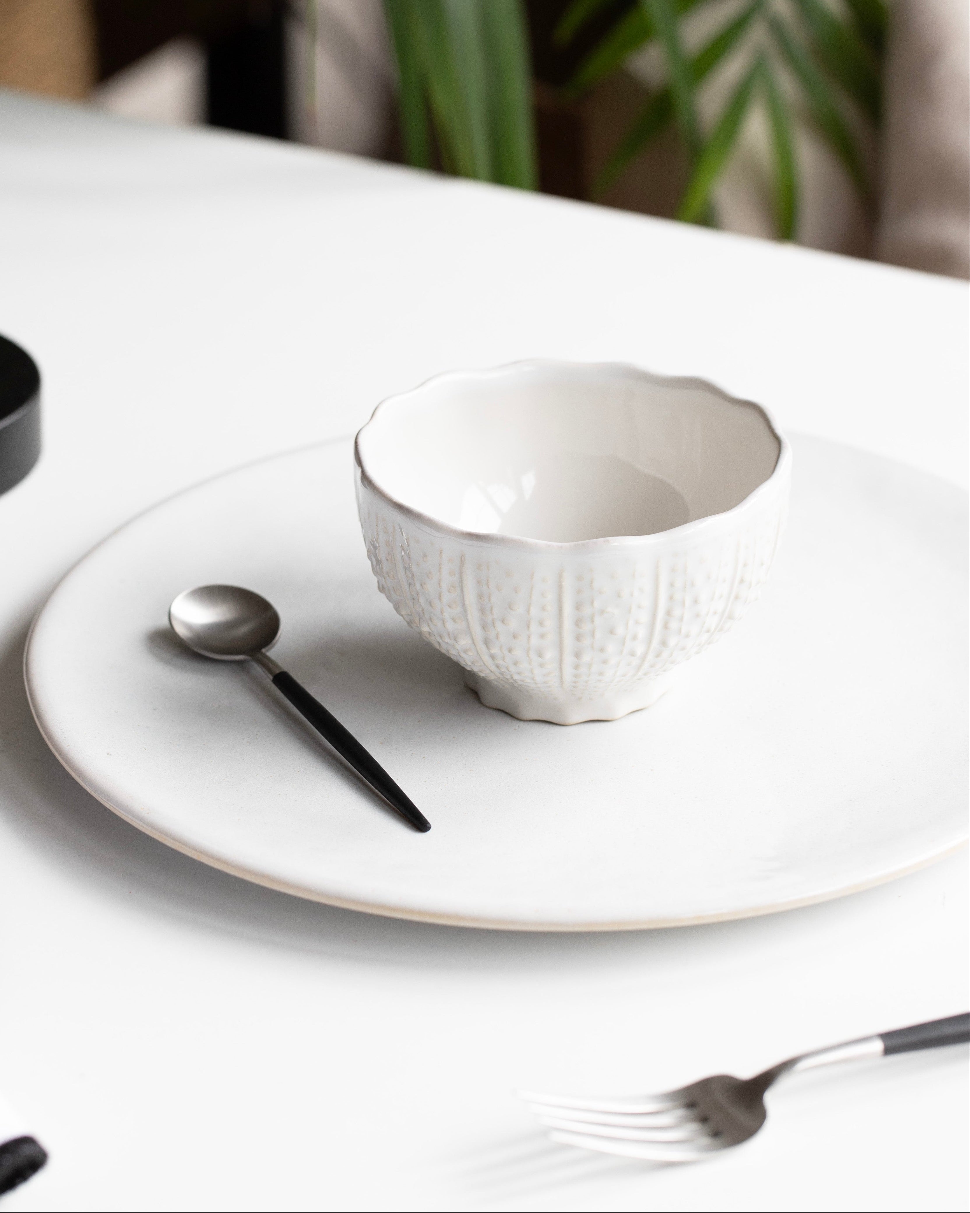 Mini Kom op voet Zeedieren