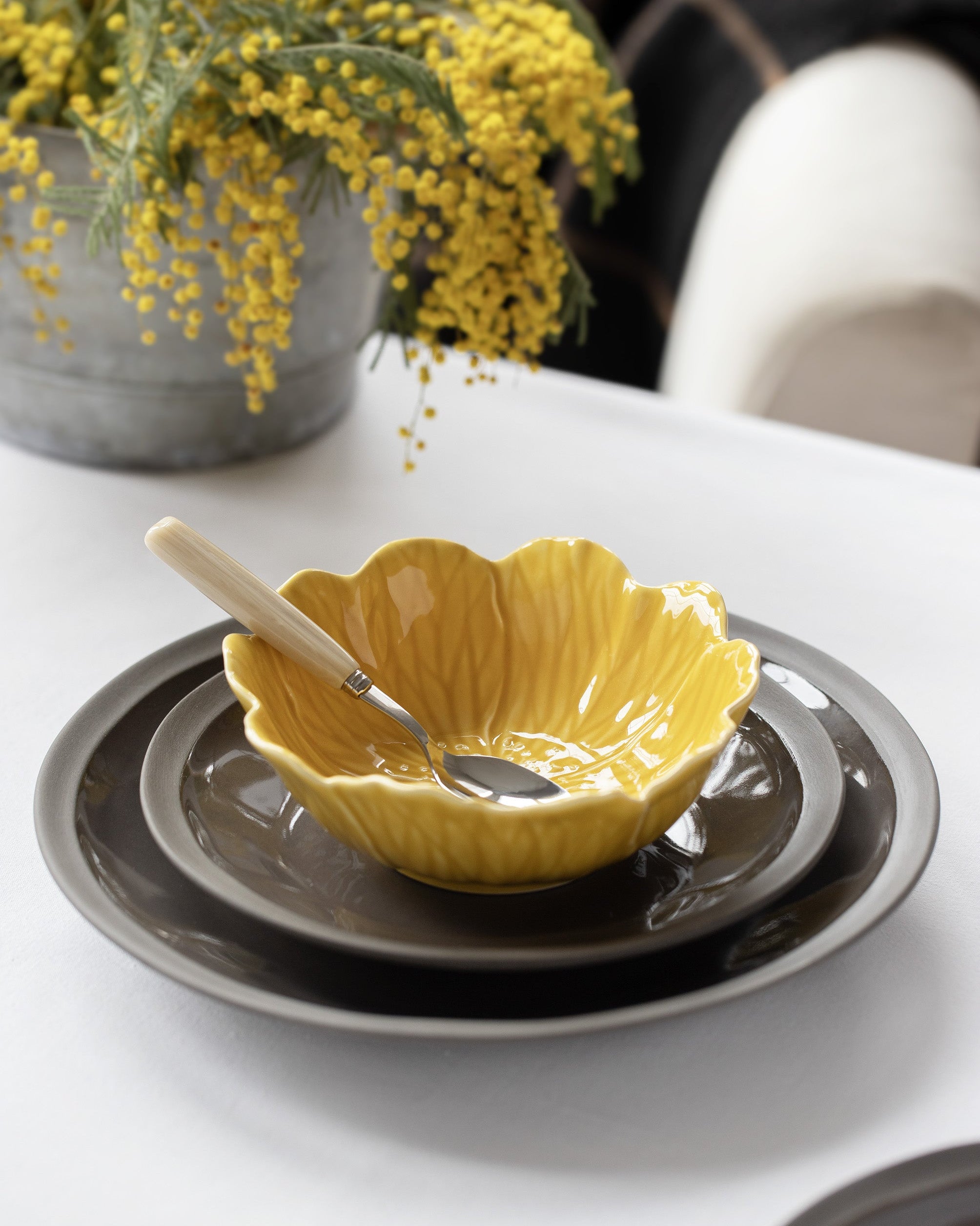 Diep bord / pastabord Terra