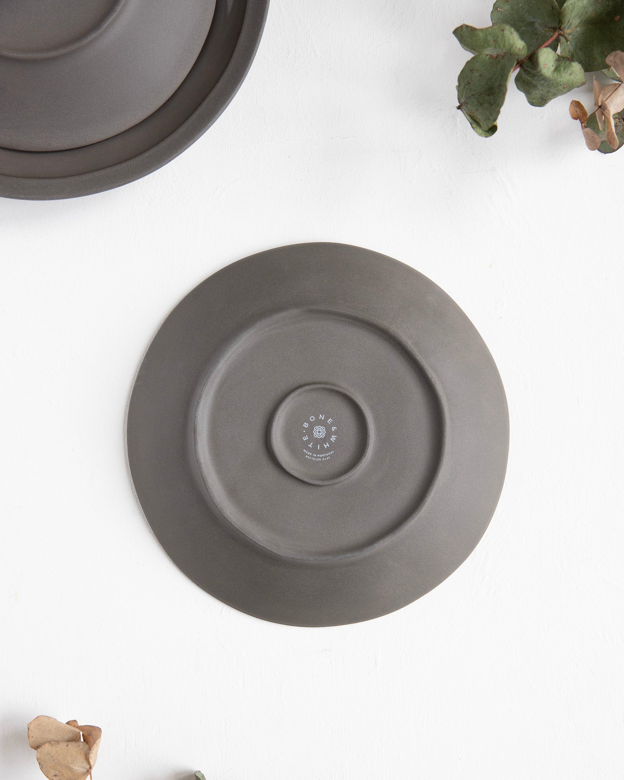 Plato hondo / pasta Terra