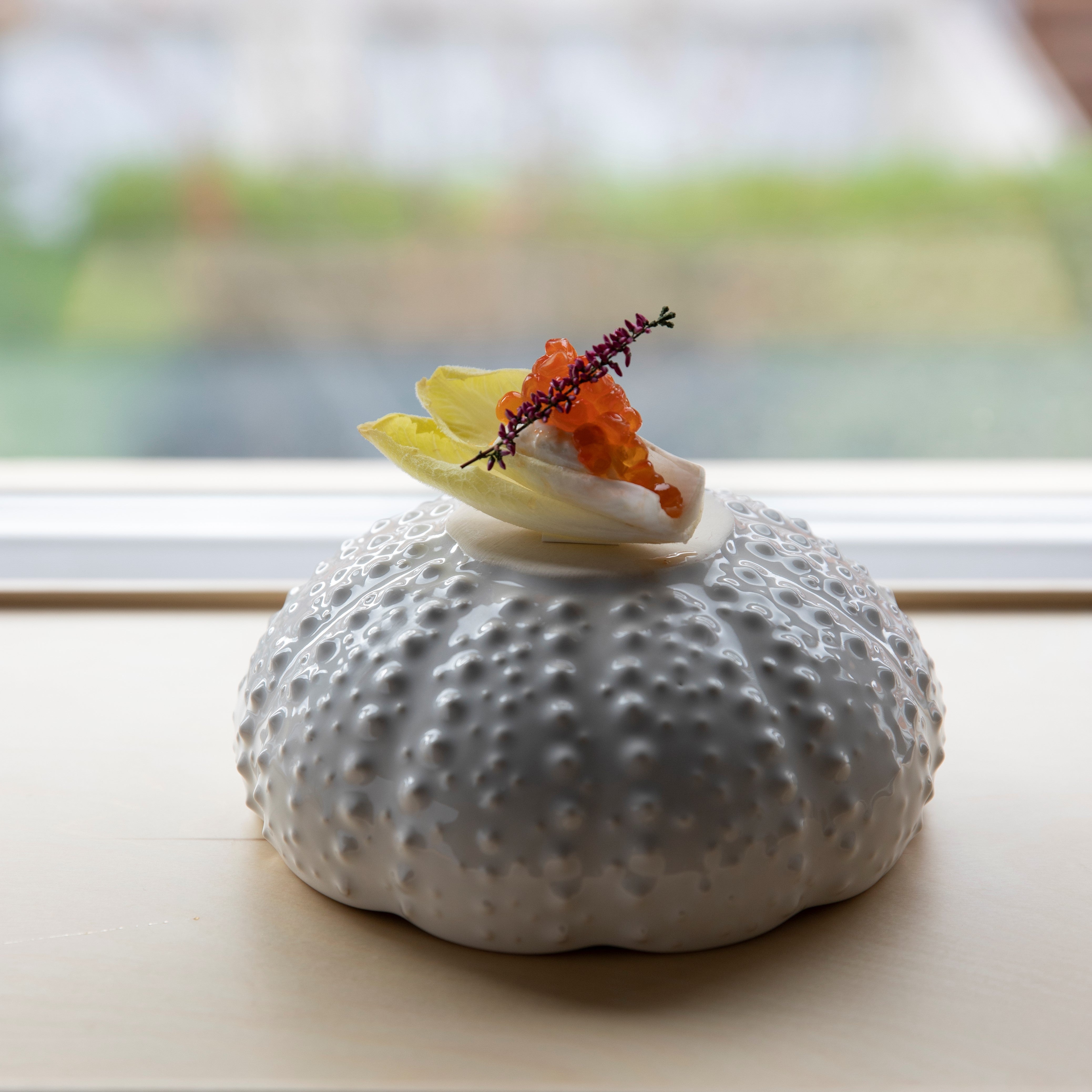 Salatschüssel Sea Creatures 18 cm