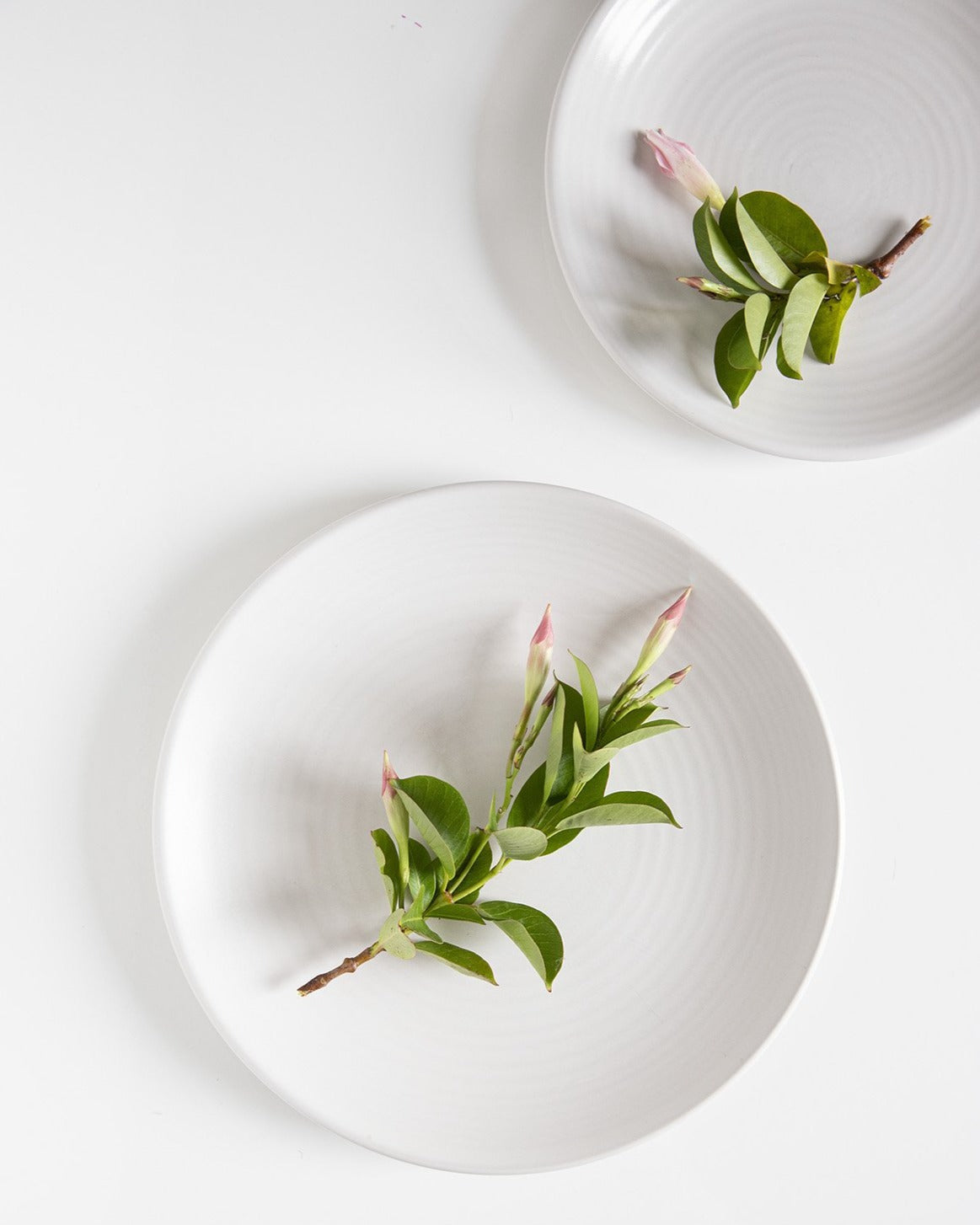 Vajilla 12 piezas Pearl